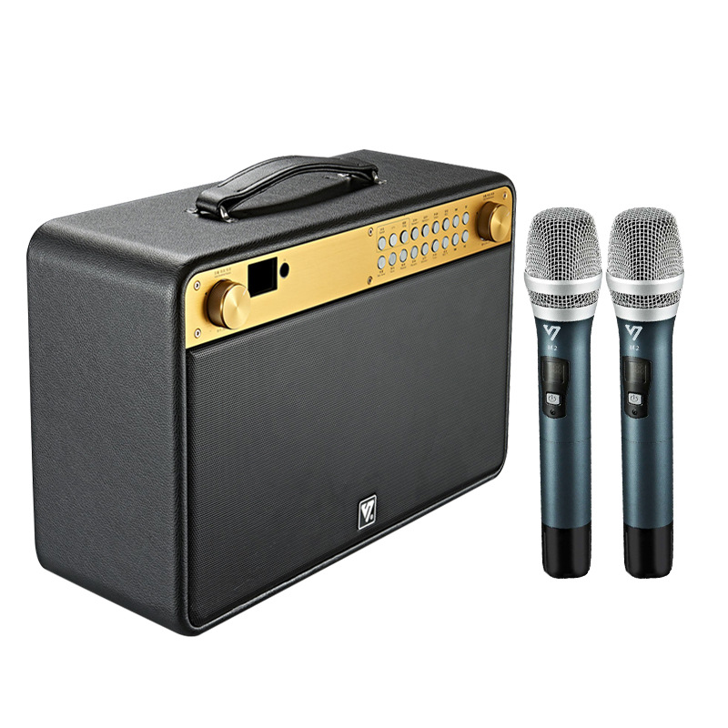Sound You Q10 Portable High-Power Sound Card Live Broadcast Outdoor Karaoke Recording Bluetooth Musical Instrument Playing Audio Subwoofer