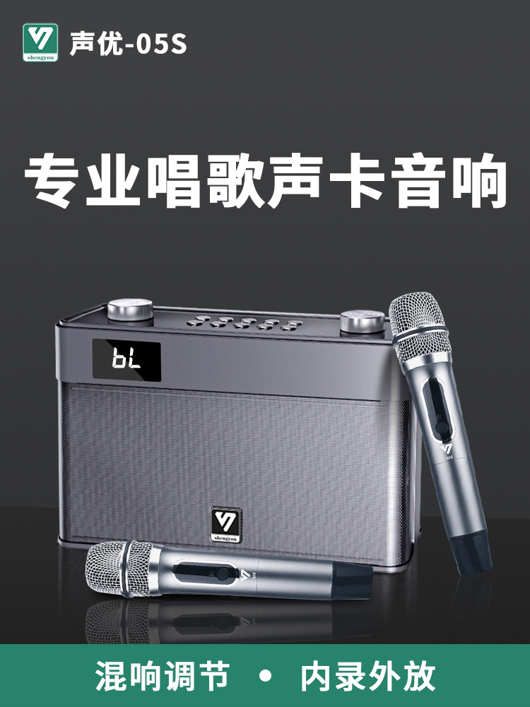 Shengyou Q5s Professional Sound Card Karaoke Audio Portable Outdoor Bluetooth Microphone Singing Erhu Saxophone Musical Instrument Speaker
