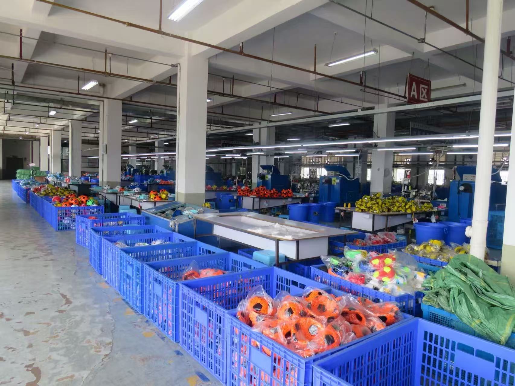 Specializing in football and volleyball