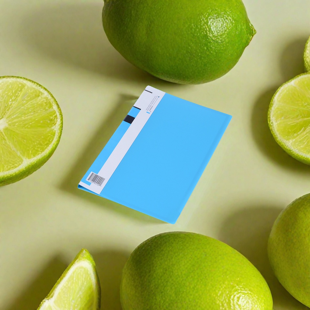 蓝色文件夹加厚办公文件夹30页收纳夹A4档案夹防水防潮