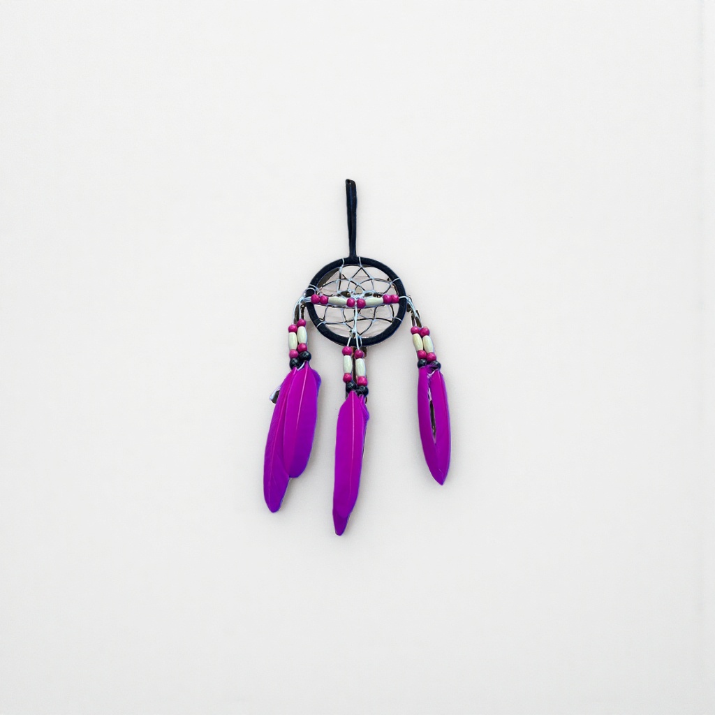 Colorful feather dreamcatcher, dreamy decorative pendant, home decor, soft furnishings Application Scenario