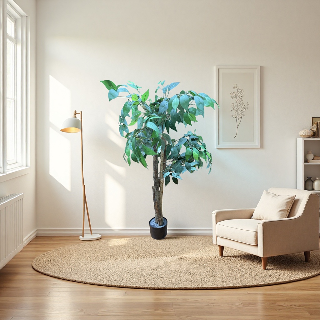 Green leafy plants, potted trees, indoor ornamental plants, small potted trees, home greening plants Application Scenario