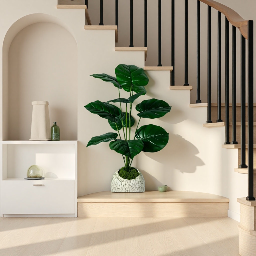 Green plants, potted plants, succulents, small potted plants, indoor shade-tolerant plants, friendly for beginners Application Scenario