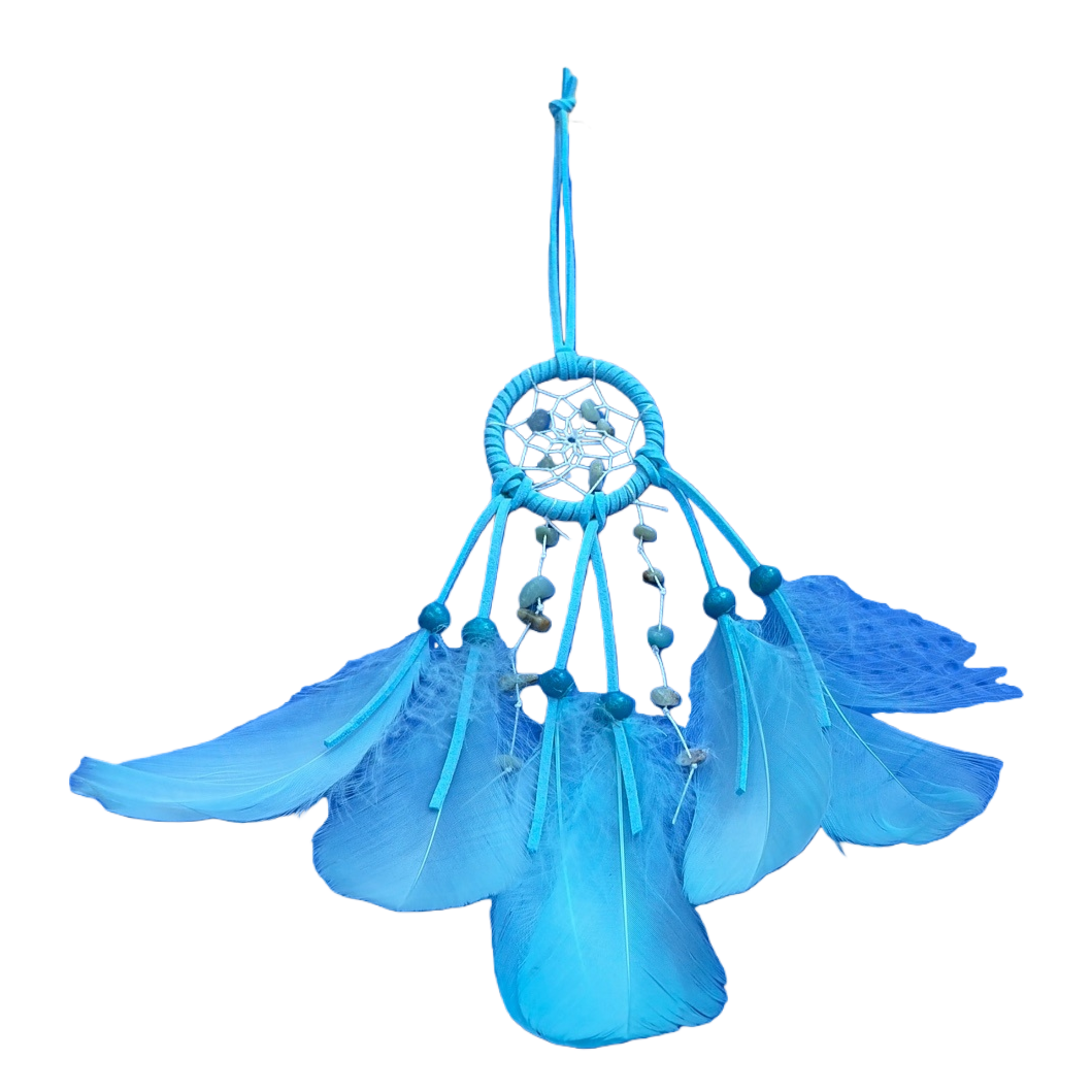Blue feather dreamcatcher, dreamy sleep decoration, home decor, room decoration Item Picture