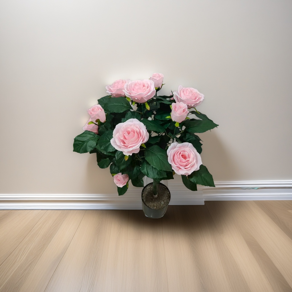 Pink rose potted plants, indoor greening and decorative flower potted plants, home gardening Specification image