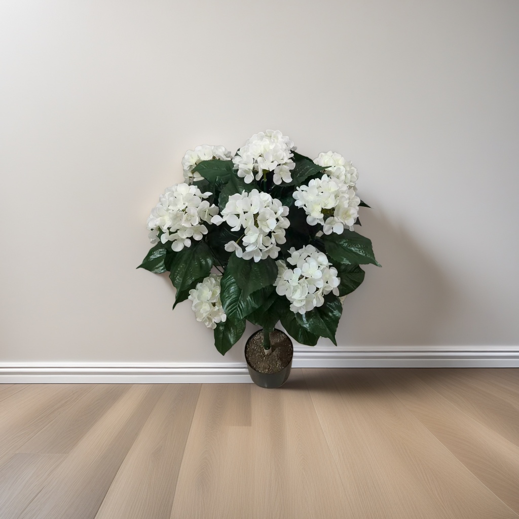 白色绣球花盆栽植物室内绿植观赏花卉耐寒庭院绿化植物细节图