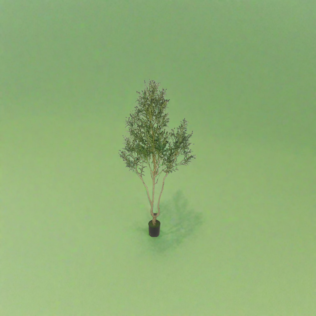 绿色植物盆栽橄榄树四季常青室内绿化庭院装饰