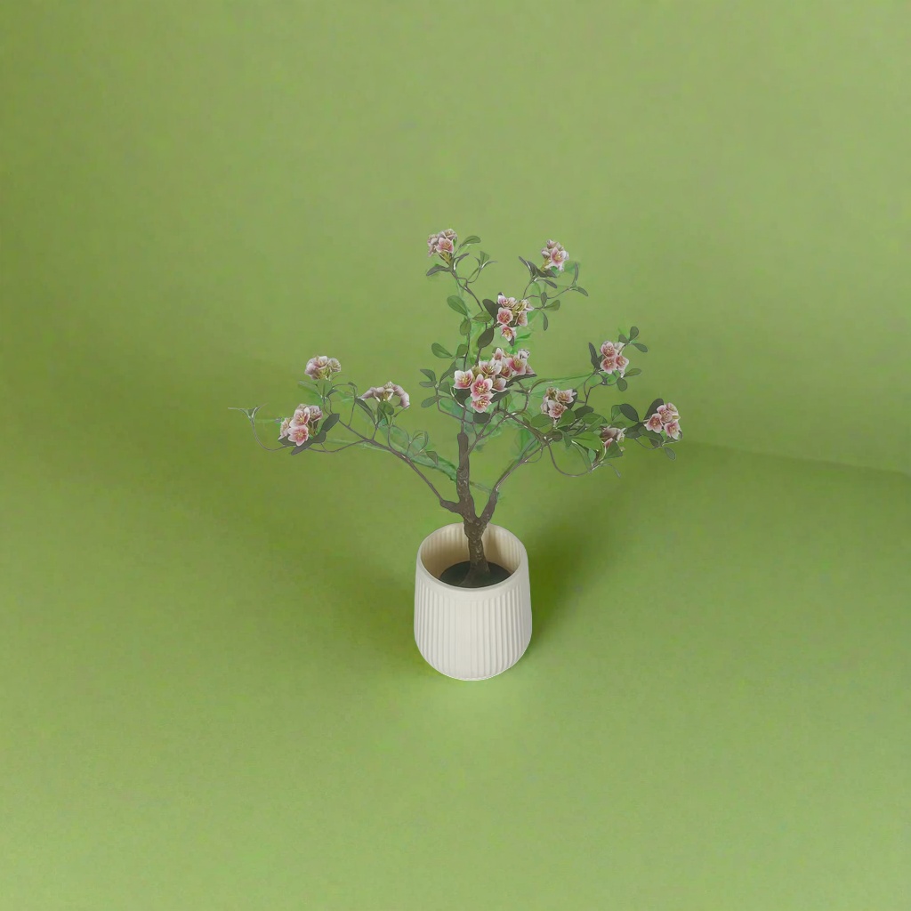 盆栽+植物细节图