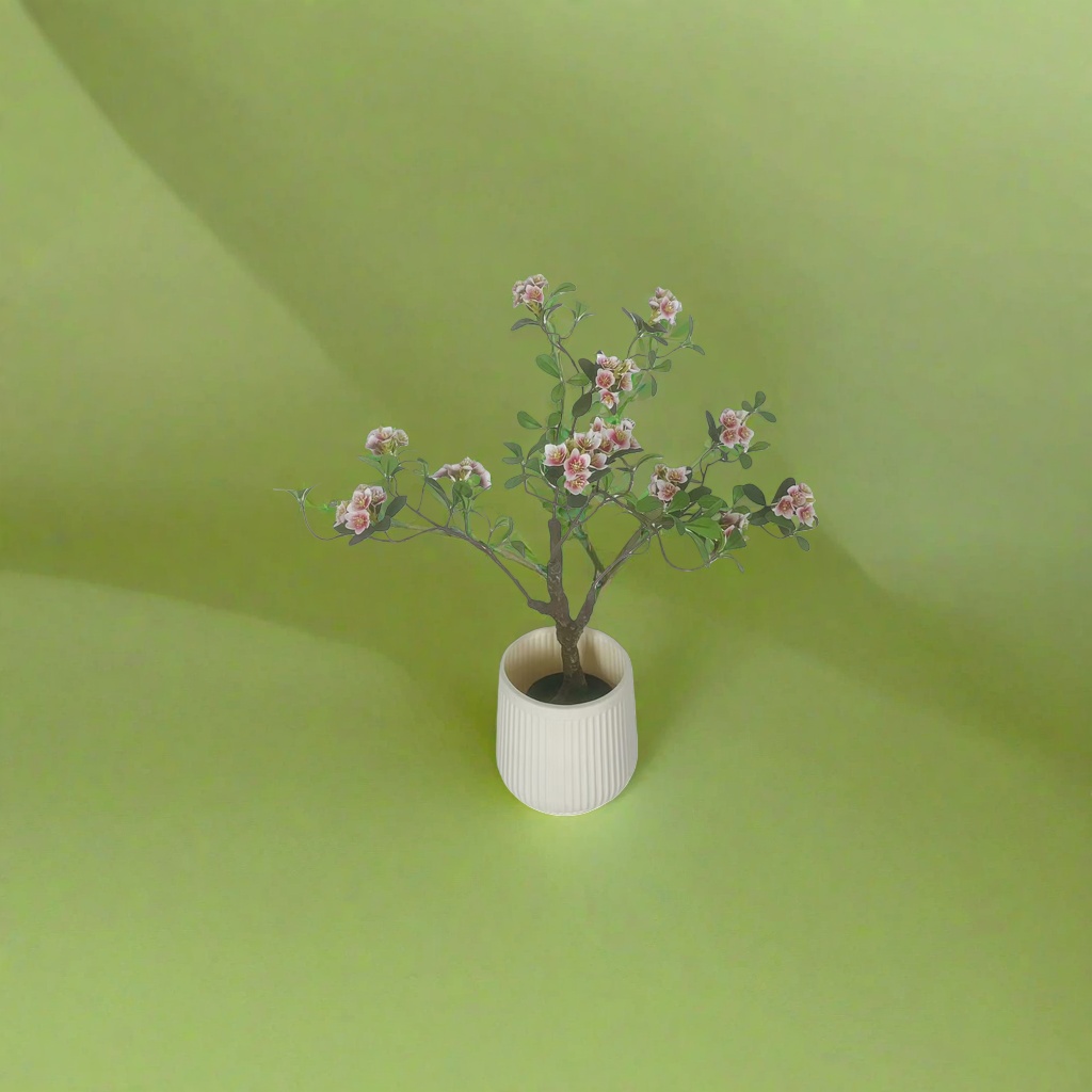 盆栽+植物产品图