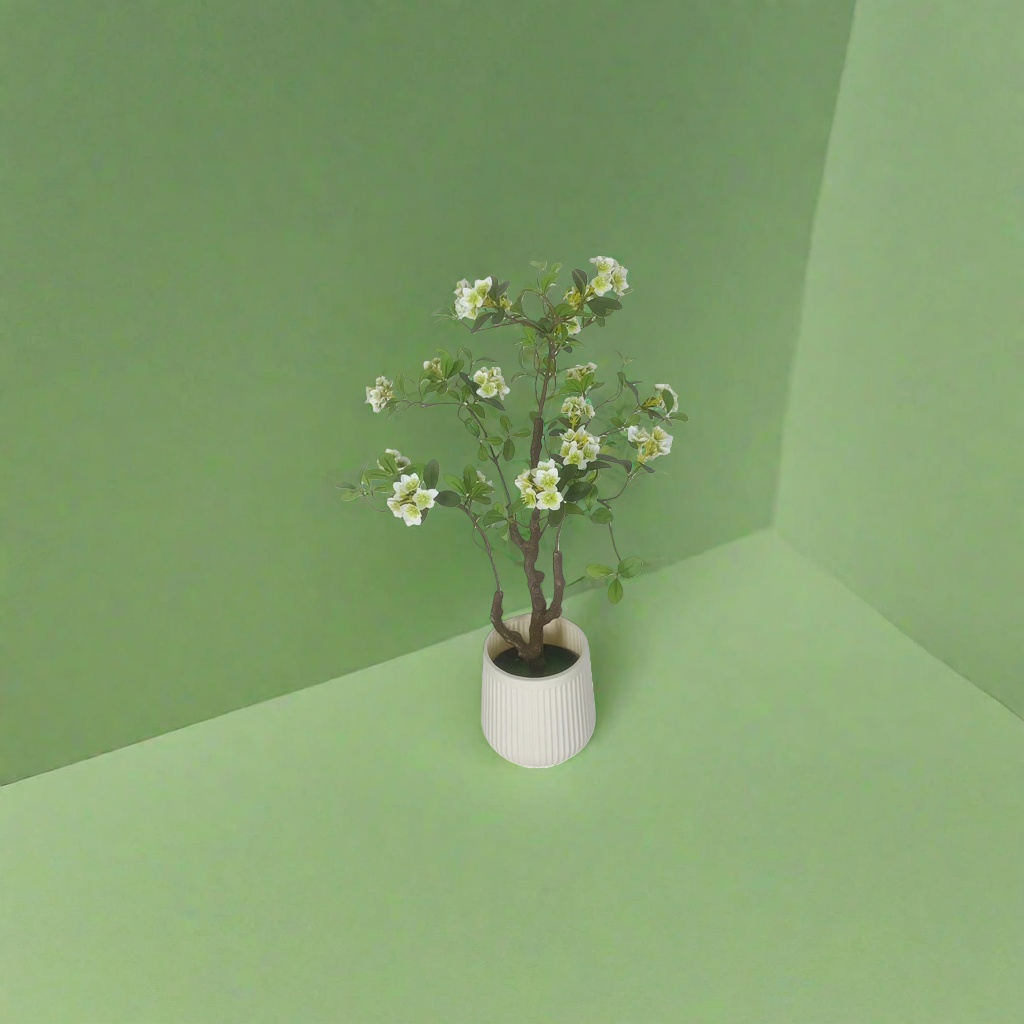 绿植盆栽多肉植物小盆栽室内观赏植物养花花草草家用绿化