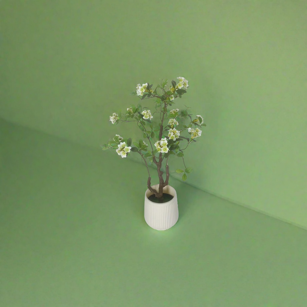 盆栽+植物产品图
