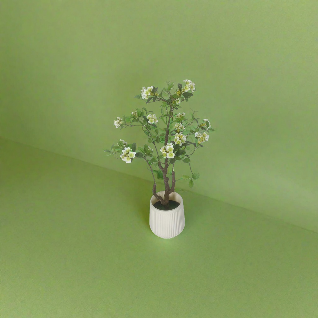 盆栽+植物细节图