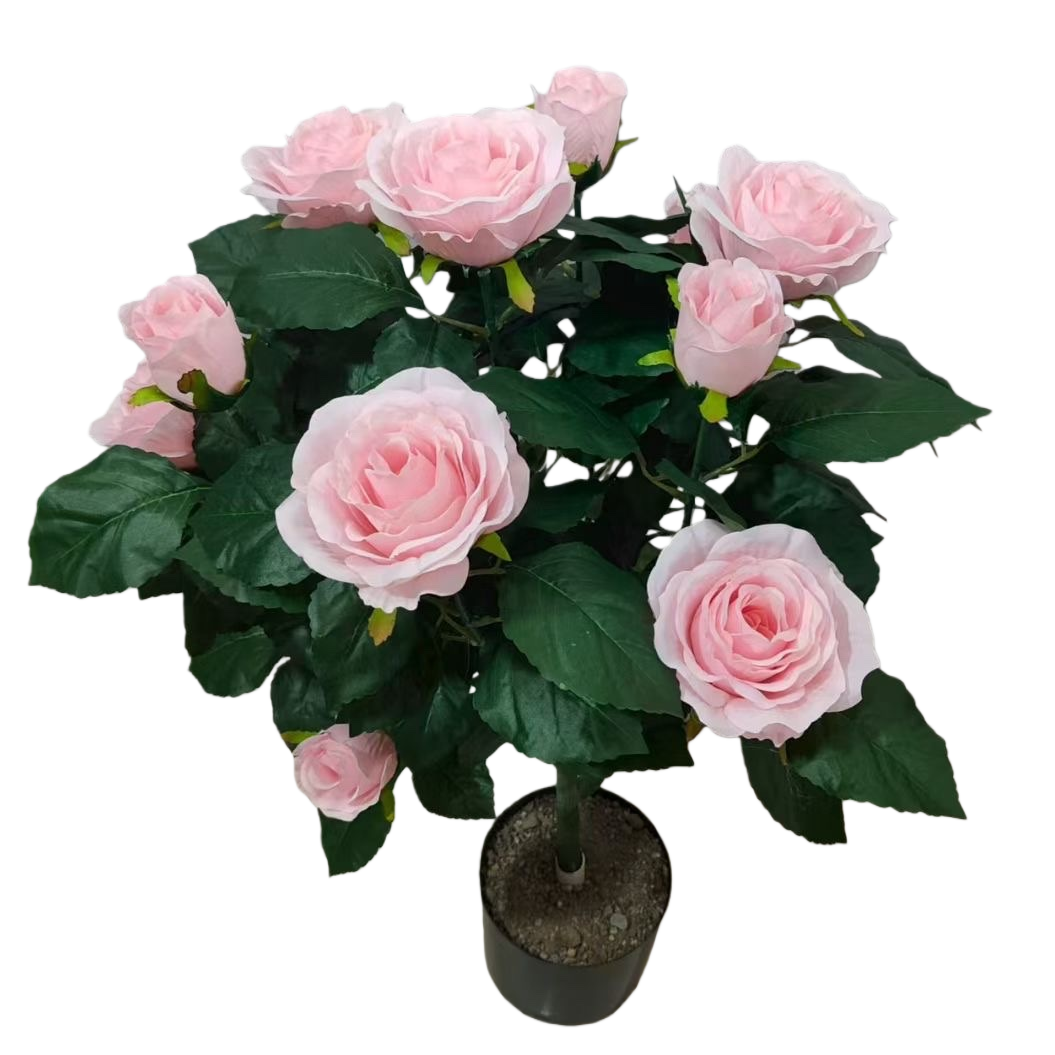 Pink rose potted plants, indoor greening and decorative flower potted plants, home gardening Item Picture