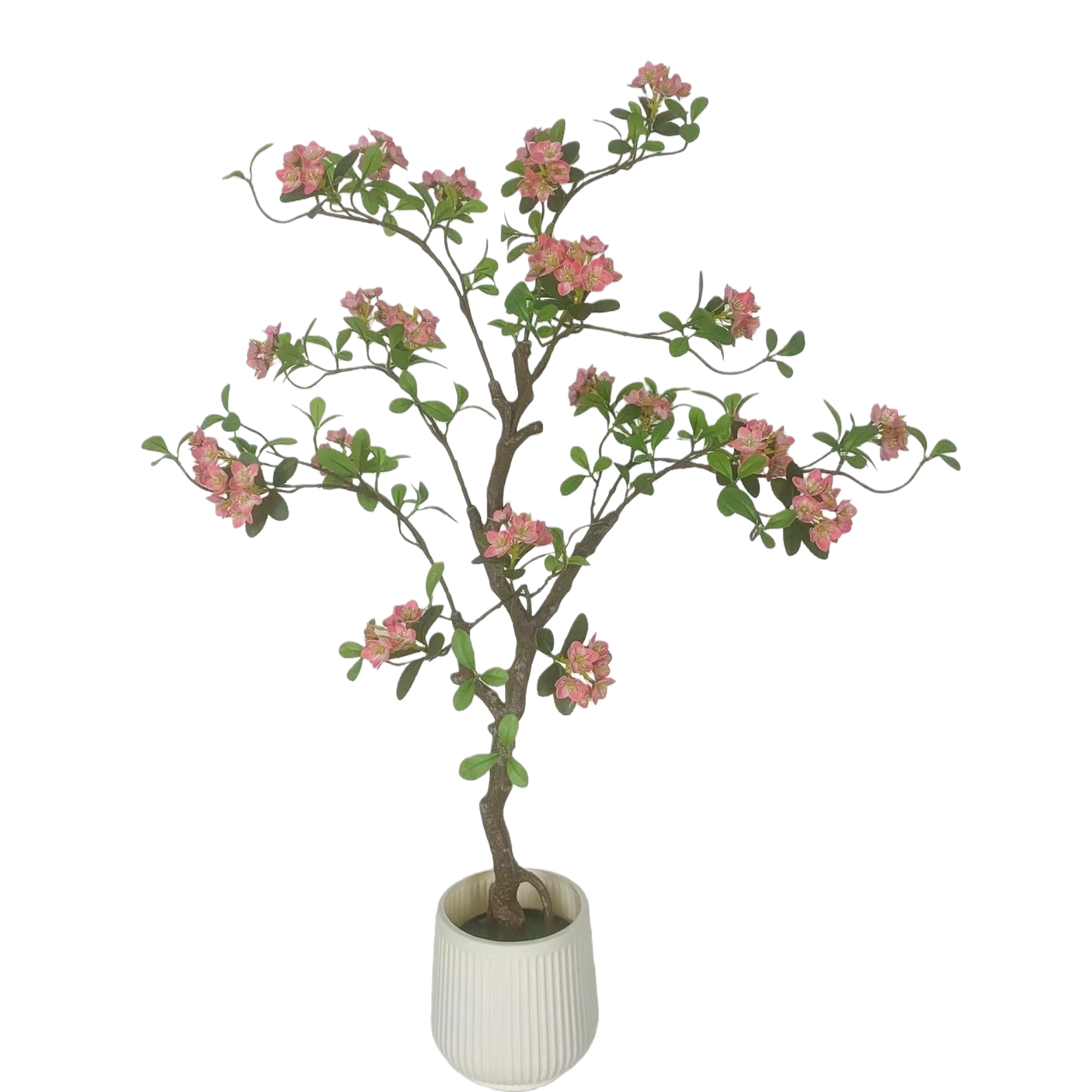 粉色花朵+盆栽植物白底实物图