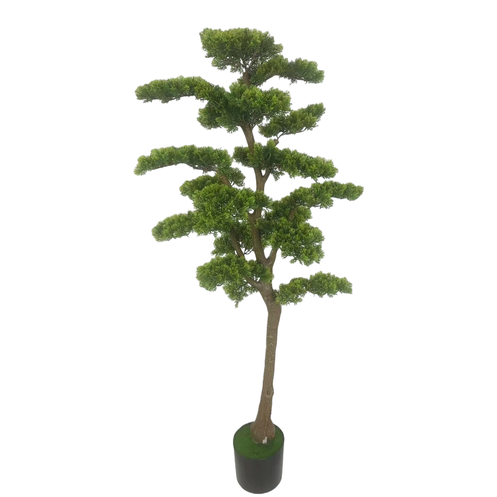 وتخضير النباتات المزروعة بغرس النباتات المزروعة في الأماكن المغلقة، على غرار التزيين Item Picture