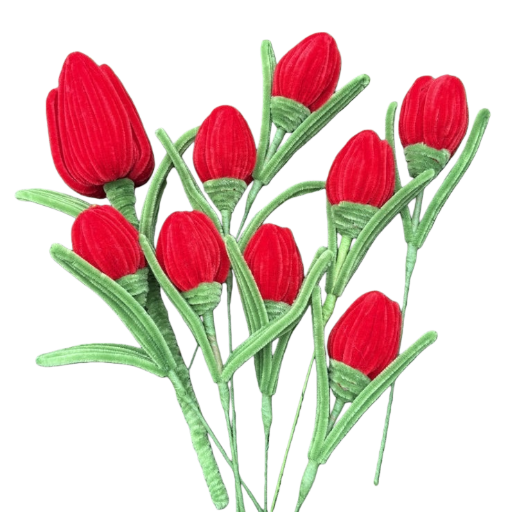 红色绒布郁金香花束白底实物图