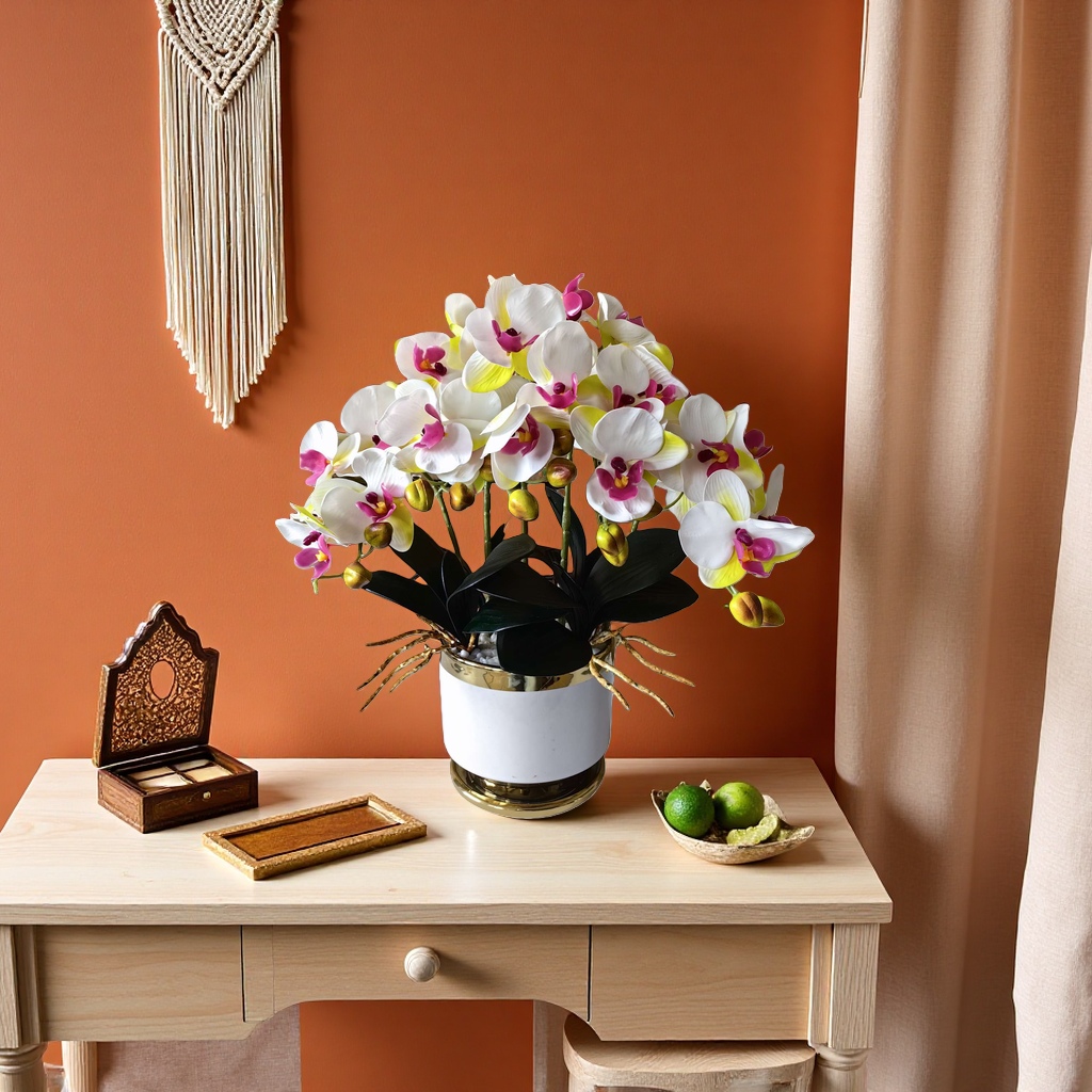 Blanco phalaenopsis macetas interiores plantas ornamentales macetas universal Application Scenario