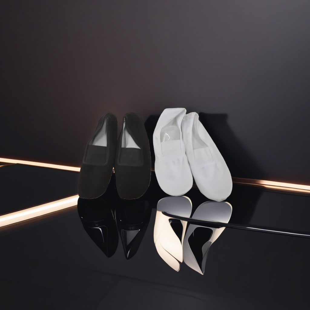 Black and white dance shoes, women's anti-slip soft-soled practice shoes, dance training shoes Specification image