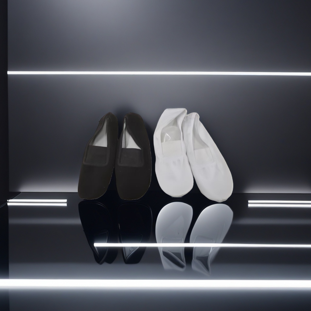 Black and white dance shoes, women's anti-slip soft-soled practice shoes, dance training shoes Application Scenario