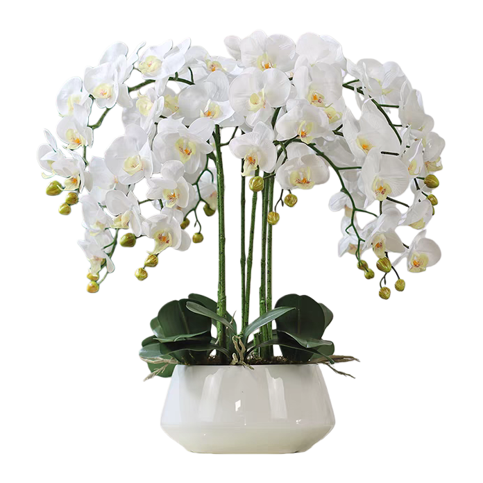 White Phalaenopsis flower art ornaments, home decoration ornaments, artistic ornaments, living room decorations 211901634 Item Picture