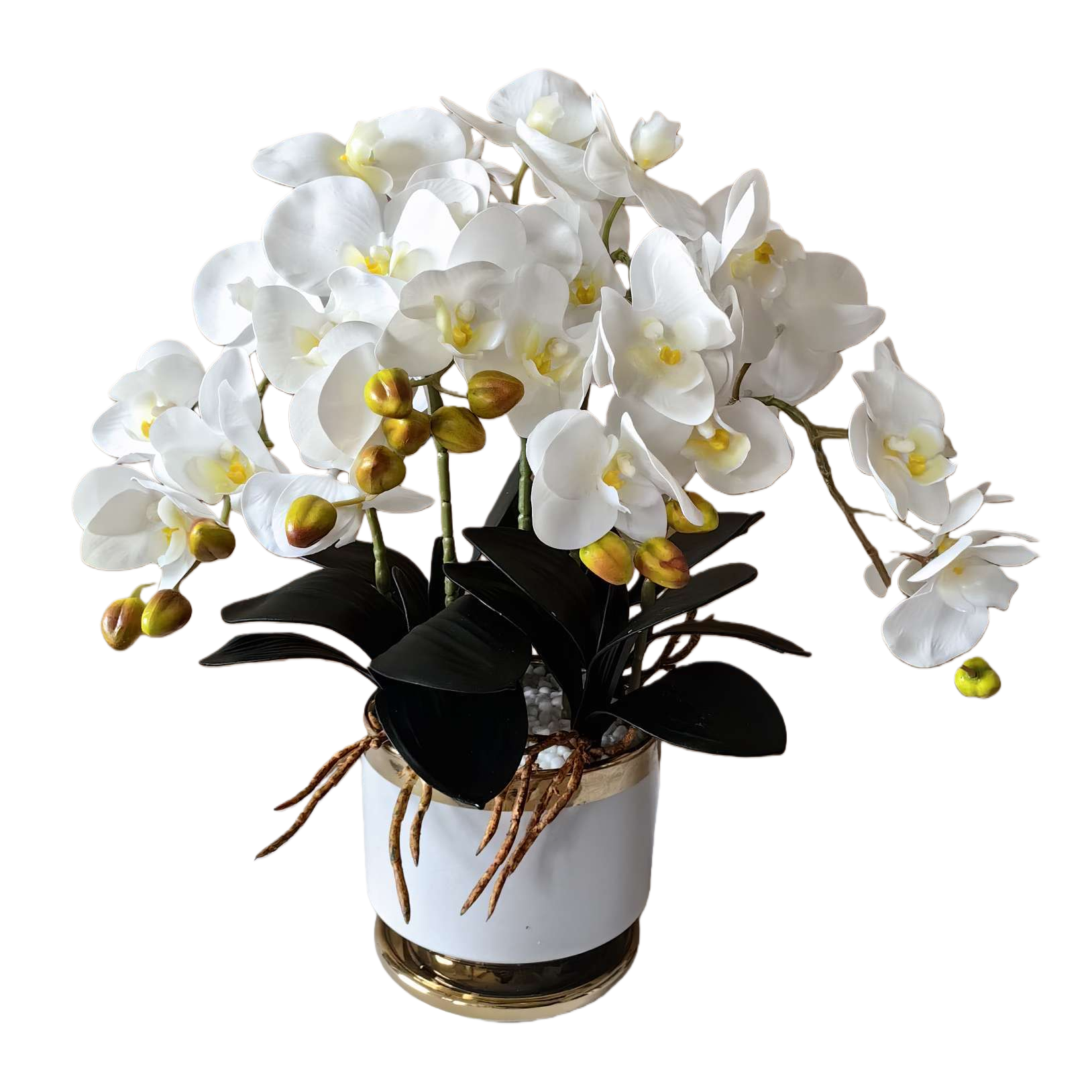 Blanco phalaenopsis macetas interiores plantas ornamentales macetas universal Item Picture