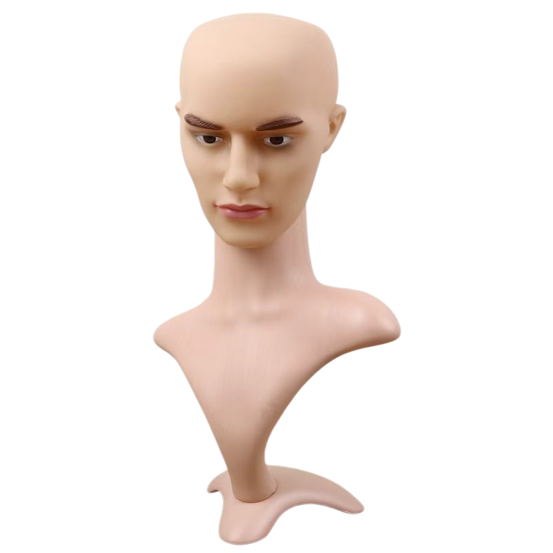 Humanoid model head simulation teaching human body model teaching human anatomy model Item Picture