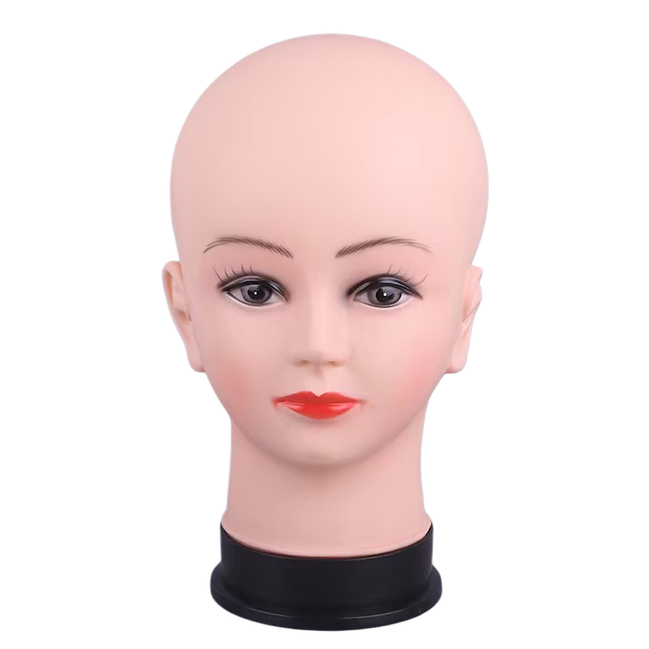 Plastic mannequin head simulation human head model for teaching demonstration of human head statues Item Picture