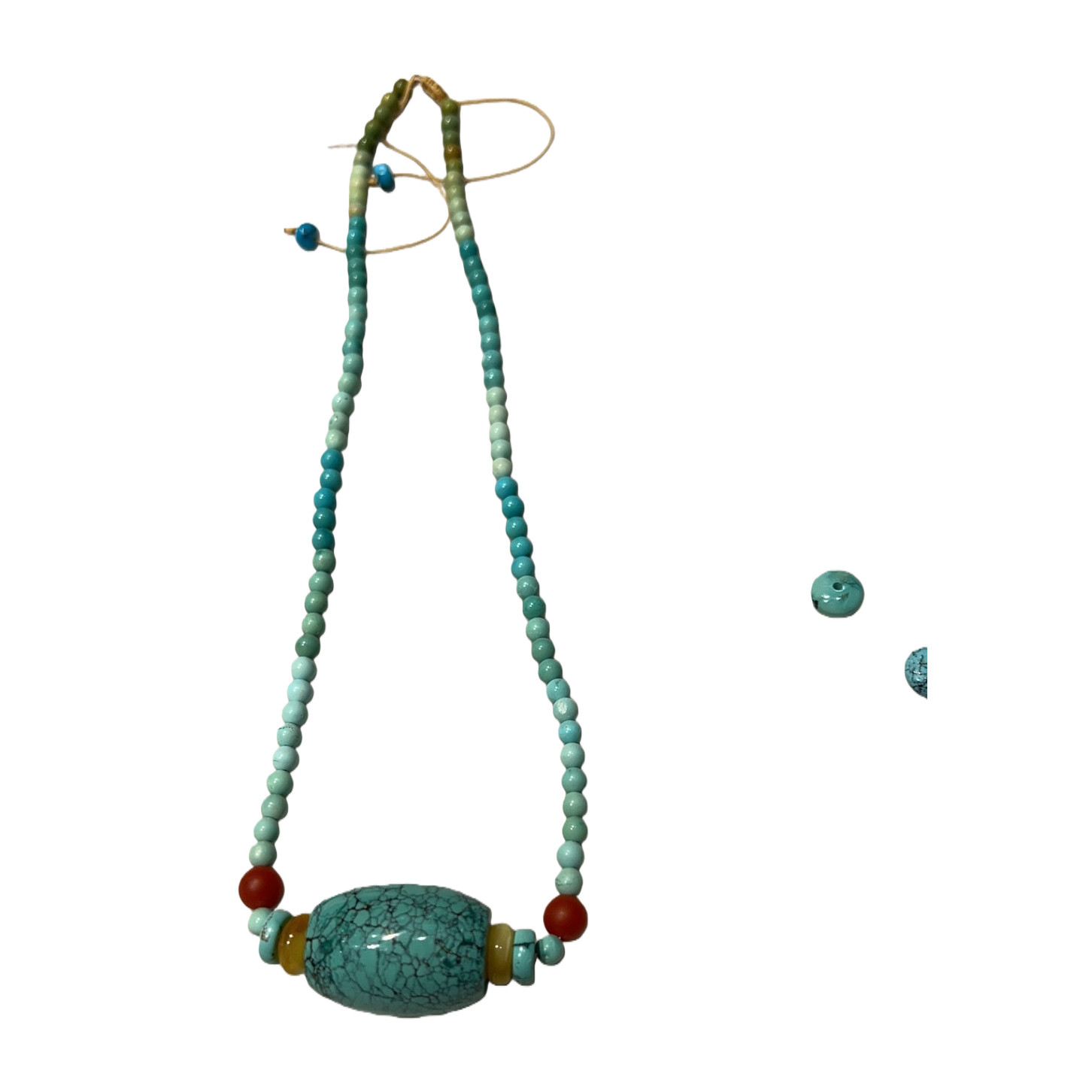 Collar + collar Item Picture