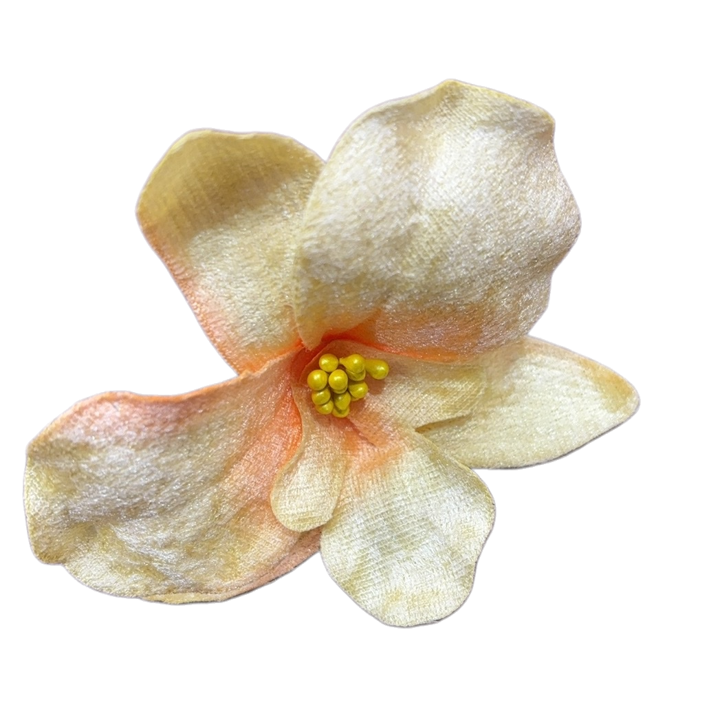 كما ان الالوان الجديدة تساعد على ترميم ايدينا الناعمة Item Picture