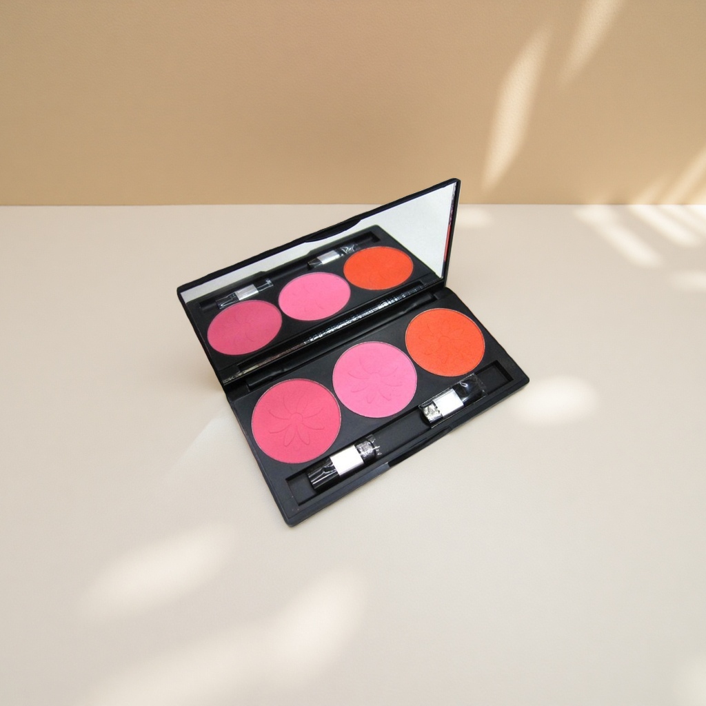 DAVINI Professional Makeup Palette, powder, eyeshadow, Blush Makeup Palette Set in 12 colors Specification image