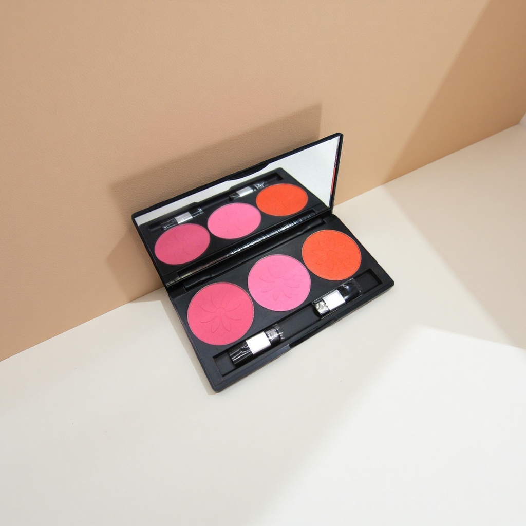 DAVINI Professional Makeup Palette, powder, eyeshadow, Blush Makeup Palette Set in 12 colors
