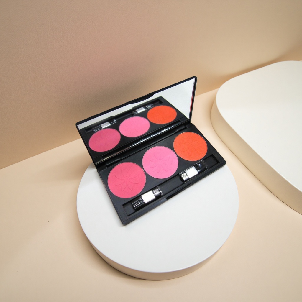 DAVINI Professional Makeup Palette, powder, eyeshadow, Blush Makeup Palette Set in 12 colors Application Scenario