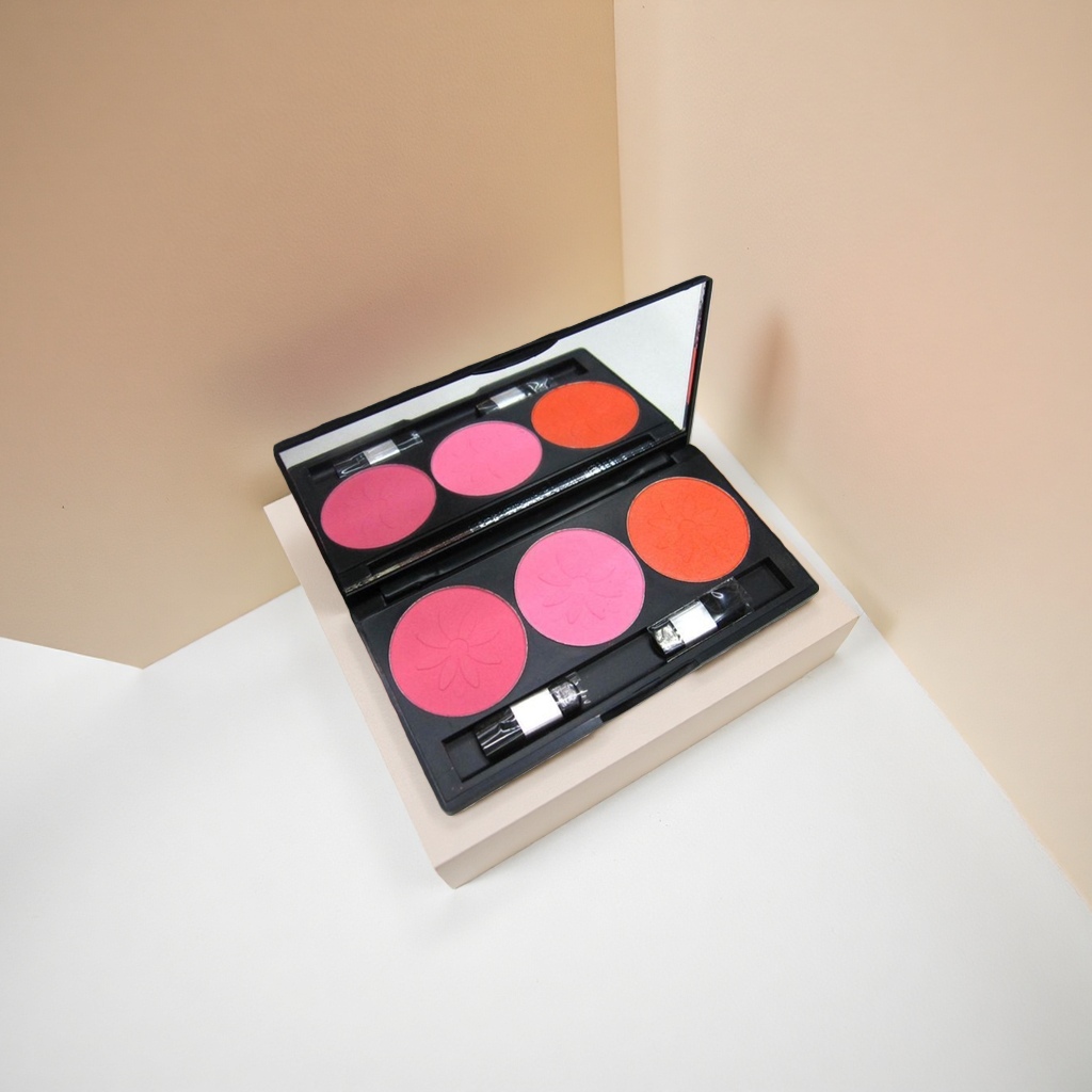 DAVINI Professional Makeup Palette, powder, eyeshadow, Blush Makeup Palette Set in 12 colors details Picture