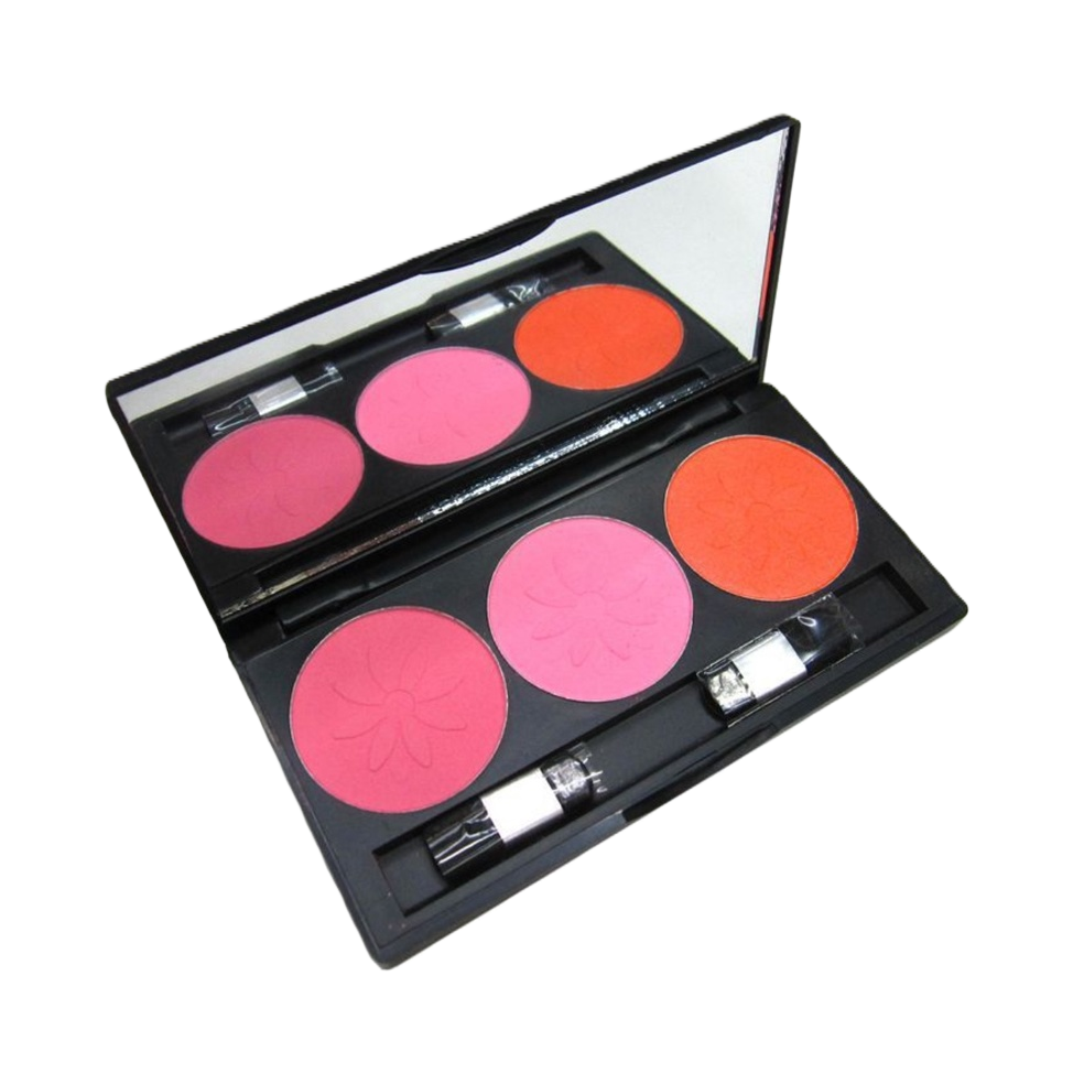 DAVINI Professional Makeup Palette, powder, eyeshadow, Blush Makeup Palette Set in 12 colors Item Picture