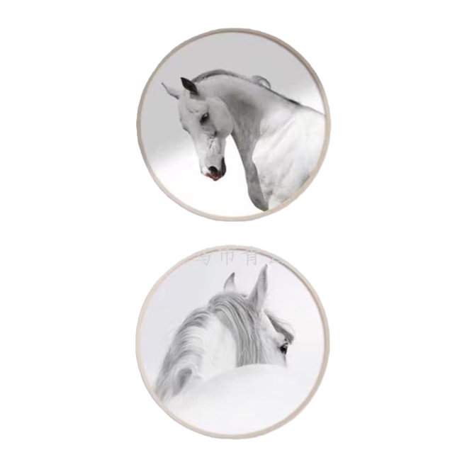 A simple decorative painting with a round white horse frame for hanging in the living room and bedroom Application Scenario