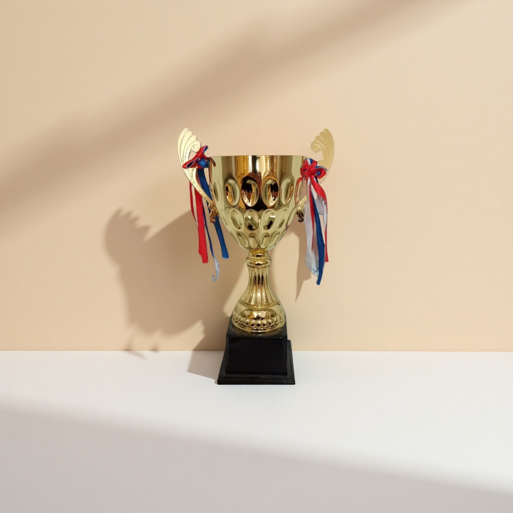 The golden trophy, custom-made for the celebration and award ceremony, features a metallic texture that is high-end and elegant Application Scenario