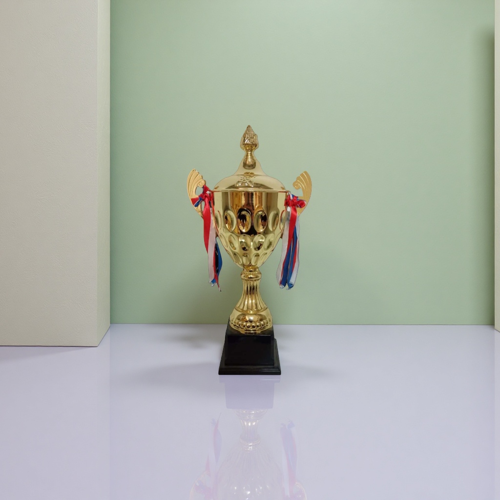 The golden trophy is custom-made for celebration and award ceremony supplies. It has a metallic texture and can be engraved