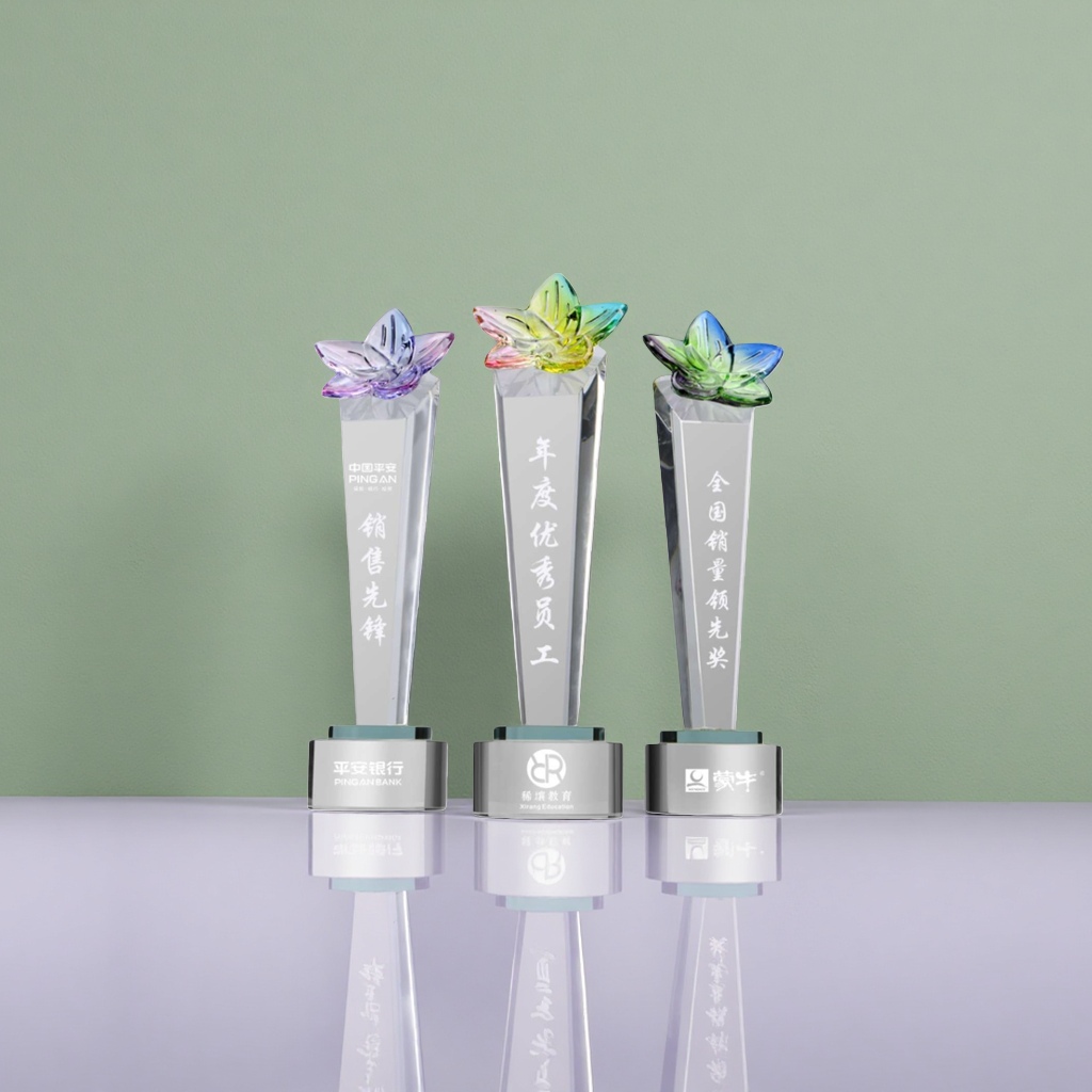 Customized crystal trophies, transparent acrylic trophies, for award ceremonies Specification image