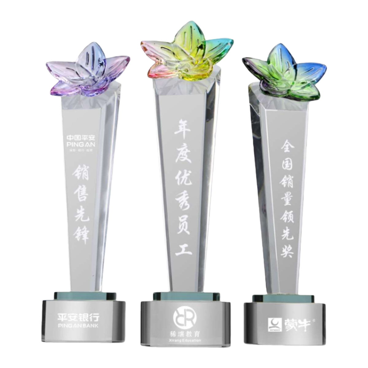 Customized crystal trophies, transparent acrylic trophies, for award ceremonies Item Picture