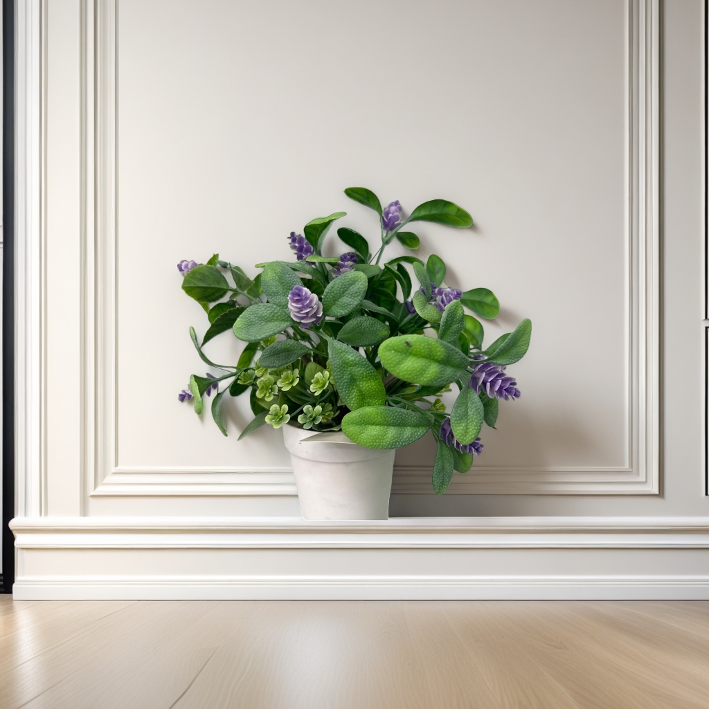 Pothos, spider plant, succulent, indoor ornamental small home green plants Application Scenario