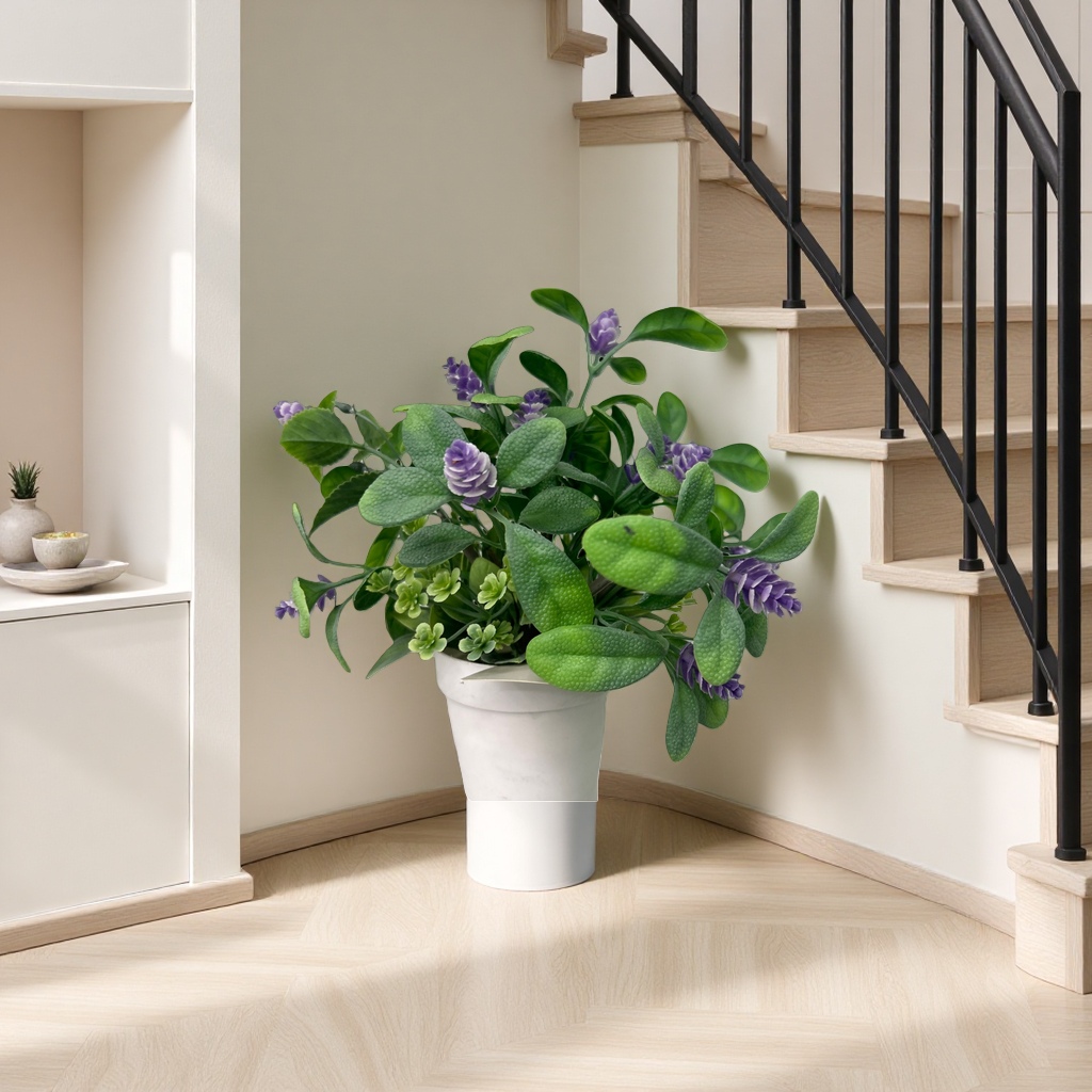 Pothos, spider plant, succulent, indoor ornamental small home green plants