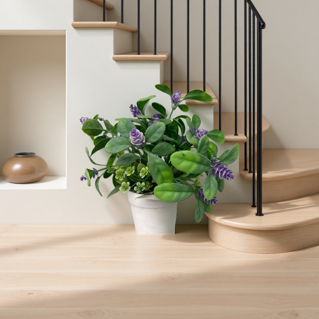 Pothos, spider plant, succulent, indoor ornamental small home green plants details Picture