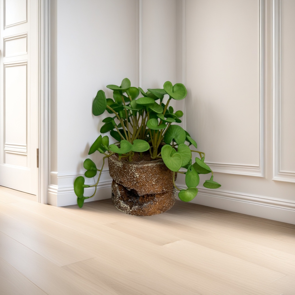 Green plant potted plants for indoor air purification, small potted plants and succulent combinations details Picture