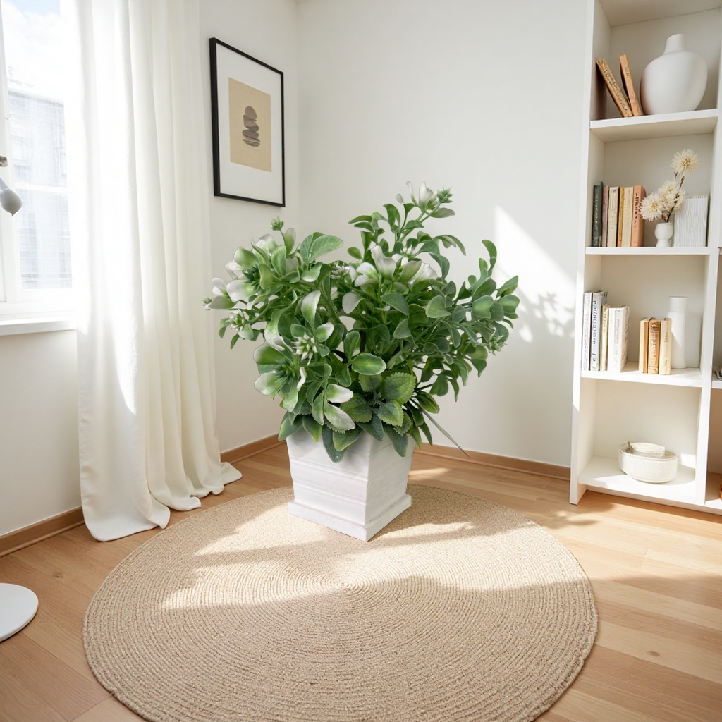 Green plant potted plants for indoor air purification, small potted plants and succulent combinations. 095949738 Application Scenario
