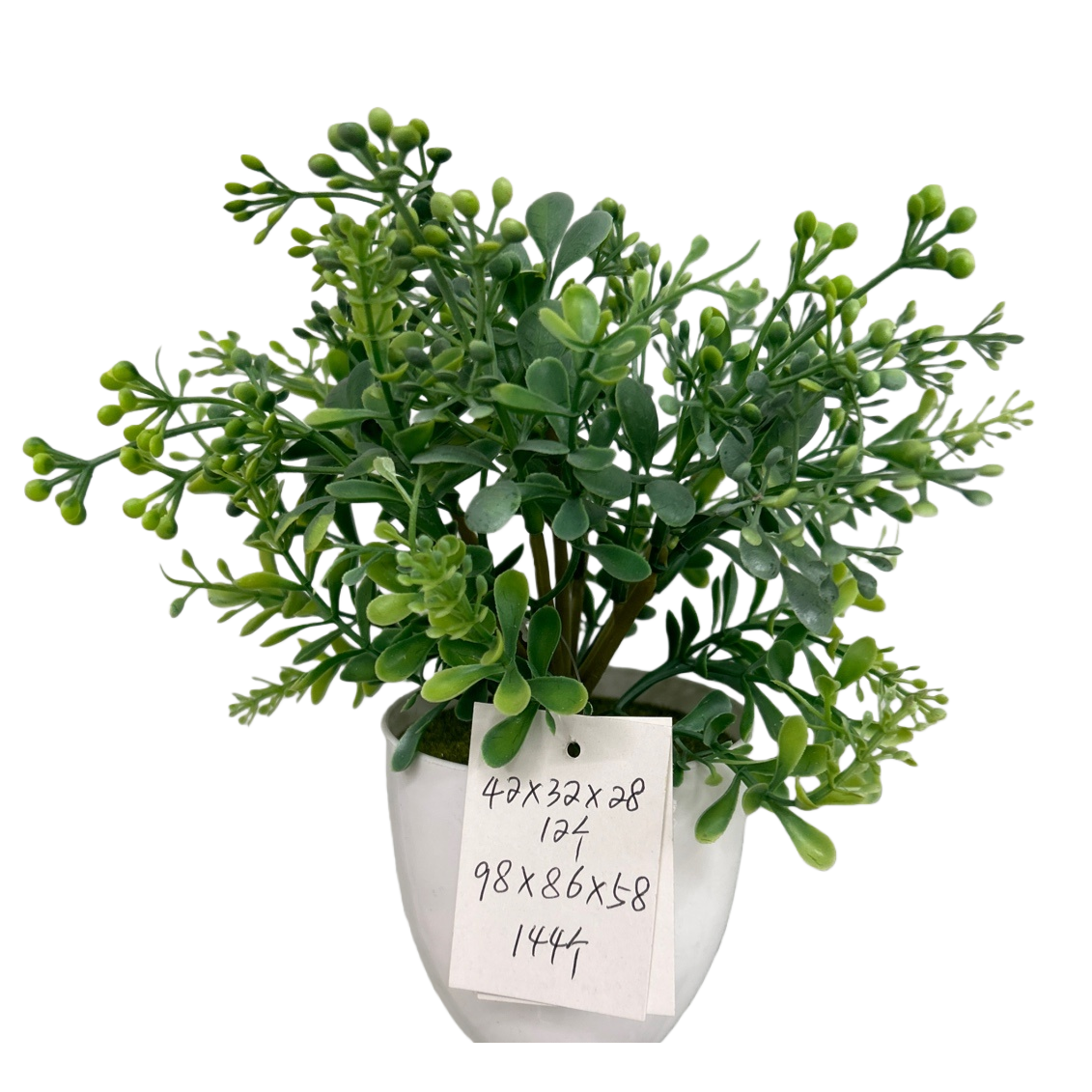 فالنباتات الخضراء، تنقي الهواء في الأماكن المغلقة، تنمو النباتات الخضراء بسهولة Item Picture