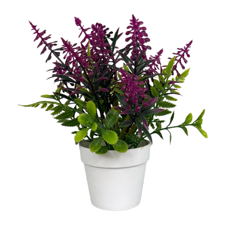 والزهور الأرجوانية المغطاة ببساتين الزهور في الشرفة الخضراء Item Picture