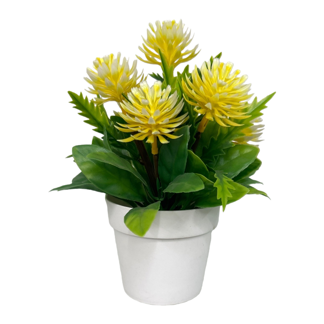 Yellow-flowered potted plants, indoor ornamental green plants, balcony garden decoration Item Picture