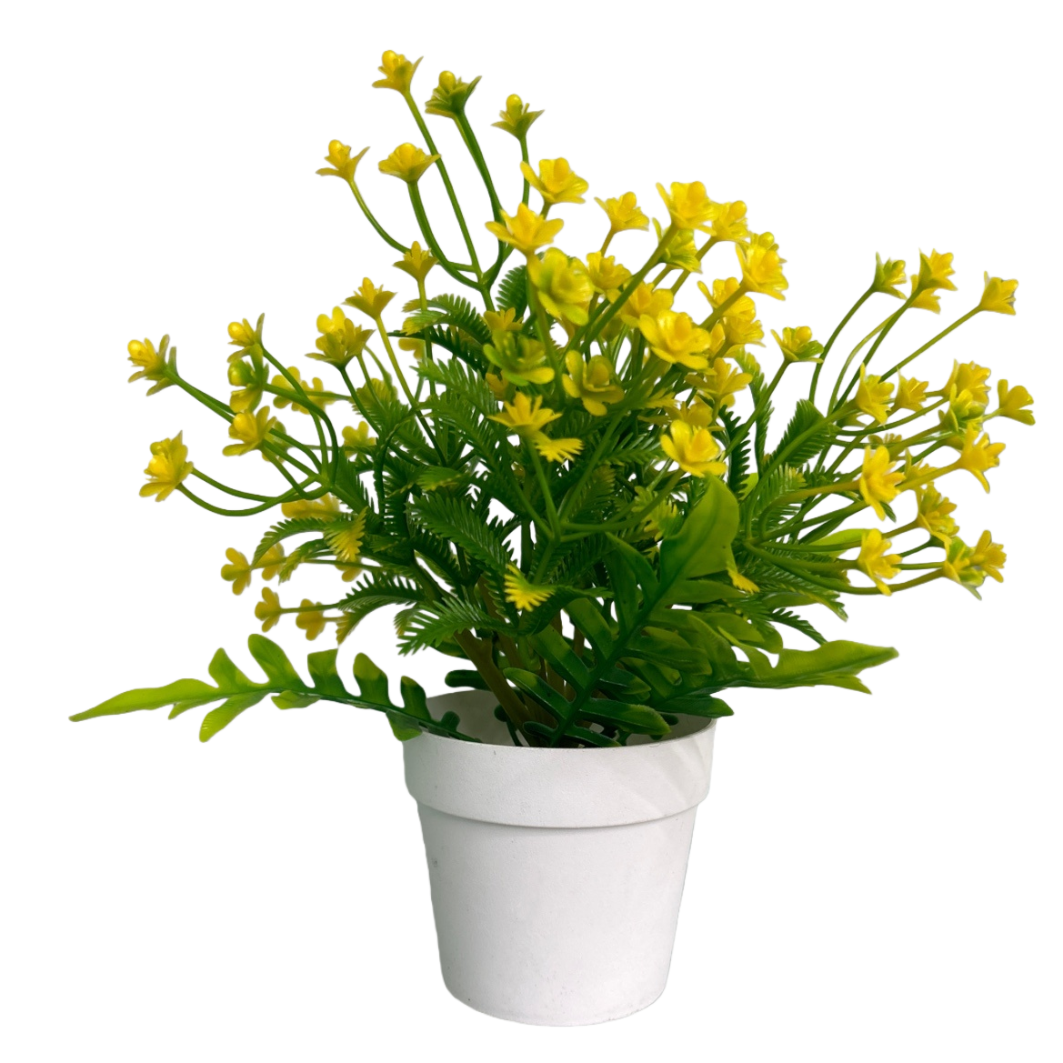 Yellow-flowered potted plants are indoor and balcony ornamental green plants with a long flowering period and are easy to care for Item Picture