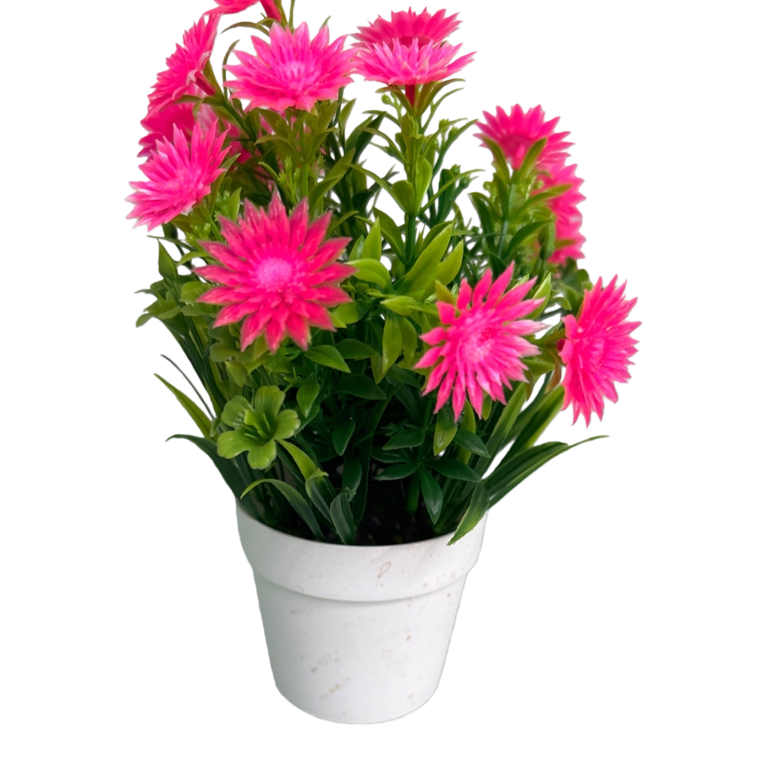 Pink flower potted plants, indoor green plants for decorating the living room and balcony, flower bonsai Item Picture