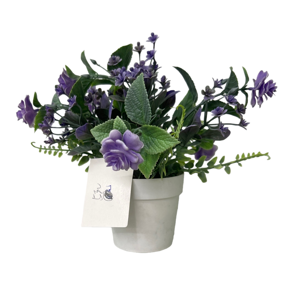 Purple flower potted plants, indoor ornamental green plants, balcony decoration Item Picture